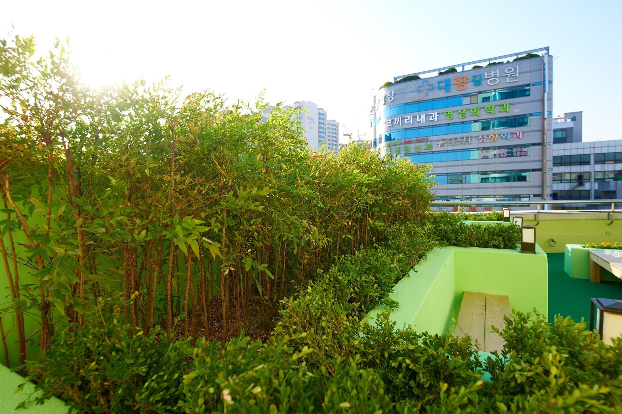 24 Guesthouse Jagalchi Busan Buitenkant foto