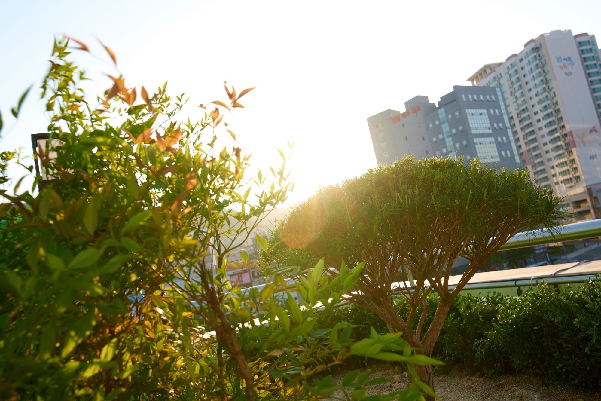 24 Guesthouse Jagalchi Busan Buitenkant foto